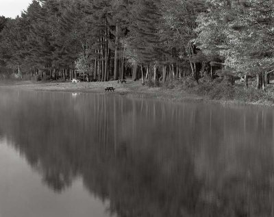 Rutland State Park,  Massachusetts   19951001