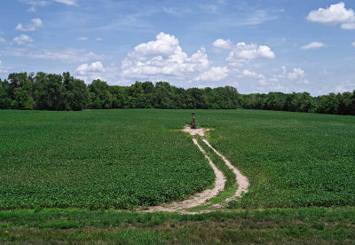 20120716-9119 Wabash Co IL.jpg