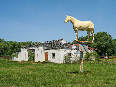 20120720-9254 Rusk Co TX.jpg