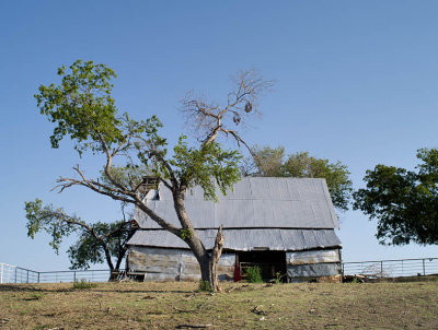 20120730-9377 Ellis Co TX.jpg