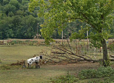 20120731-9452 Newton Co AR.jpg