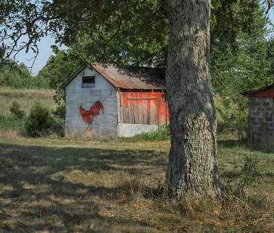 20120802-9496 Hardin KY.jpg