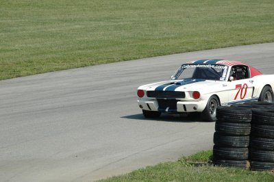 g1/71/785671/3/106100520.bq0M7Si6.jpg