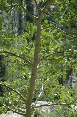DSC_0747.JPG