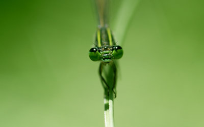 CRW_1747.jpg