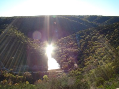 Sunlit Pond