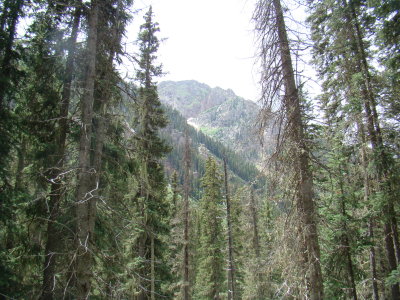 Chicago Basin at Last!!!