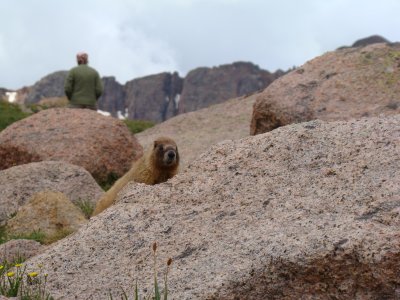 Sniffing for Salty Gear
