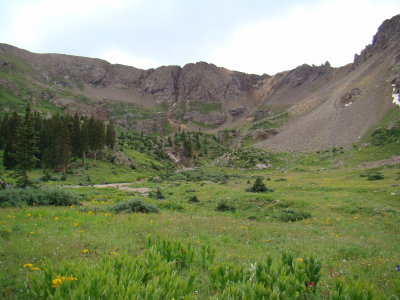 Lovely Meadow