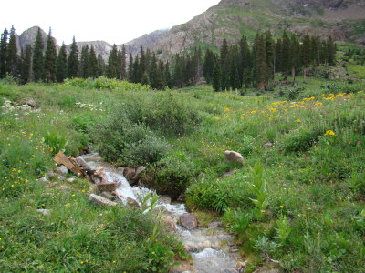 The Creek That Runs Through the Lovely Meadow