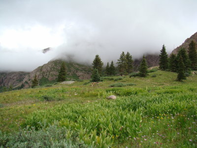 Low Cloud Cover