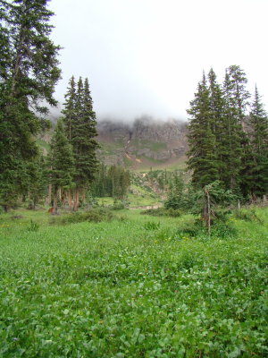 The Edge of the Lovely Meadow