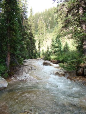 Upstream