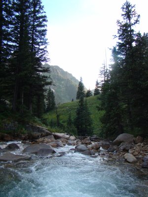 g1/71/806171/3/107589359.RrEj1tsf.jpg