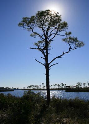 IMG_4692.JPG