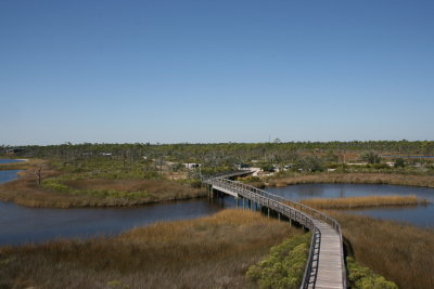 IMG_4716.JPG