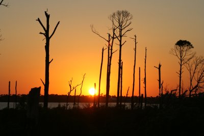 IMG_4762.JPG