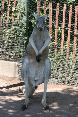 IMG_4768.JPG