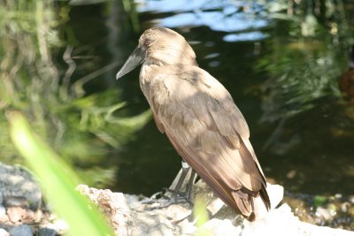 IMG_4782.JPG