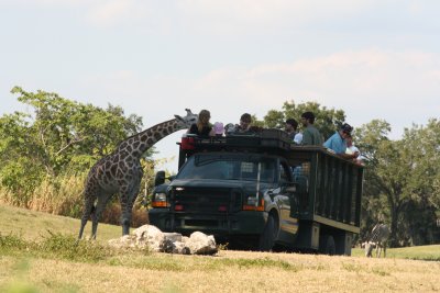 IMG_4845.JPG