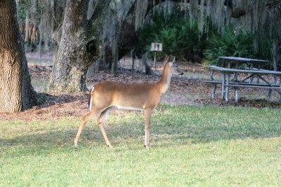 IMG_4914.JPG