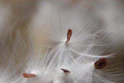 g1/71/830171/3/107761254.yLHvTQYI.jpg
