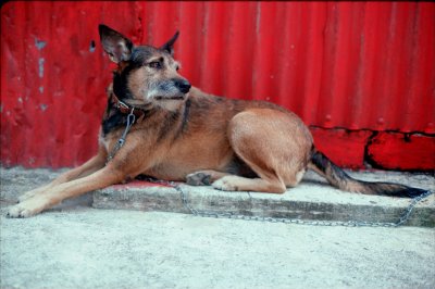 35mm_David_Group1_004000.jpg
