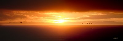 sunset.jpg