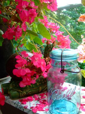 Geranium