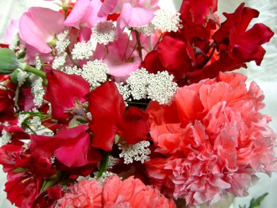 Sweet peas and oriental poppies