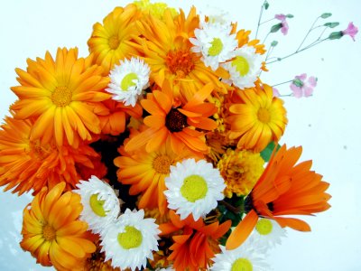 calendulas and straw flowers