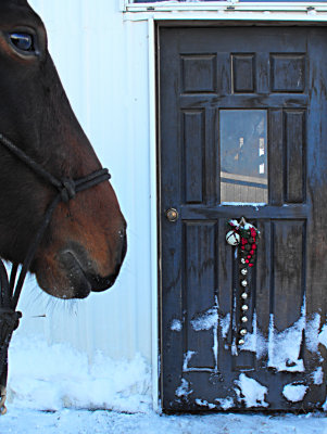 Door to the barn