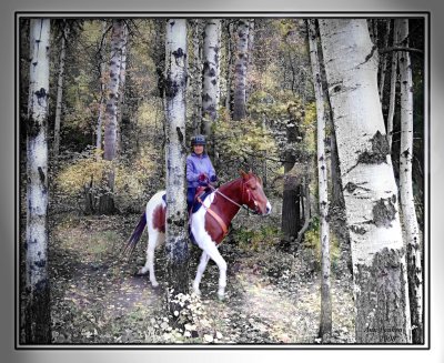 Riding through the aspens.JPG