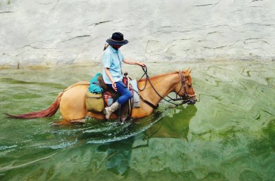 The River and the Horses