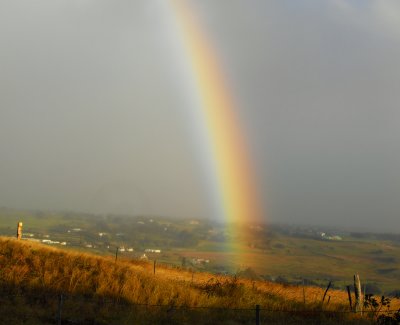 Rainbow over Parker Ranch Land Hawaii