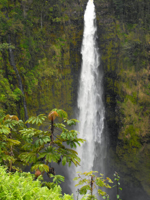 Falls Hawaii