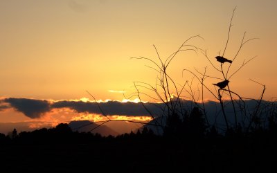 sunset over peoh point