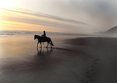 The lonely beach at Manzanita