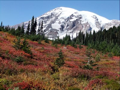 mt rainier fall colors.