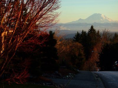 Mt. Rainier