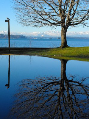 Puget sound and flooded parking lot