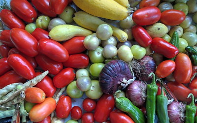 Garden harvest