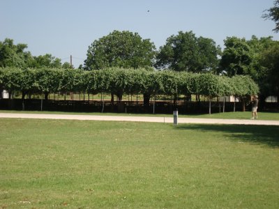 Fort tour 012.jpg
