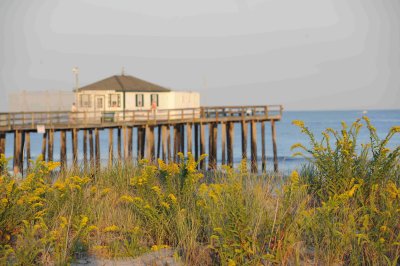 sun setting pier in background.jpg