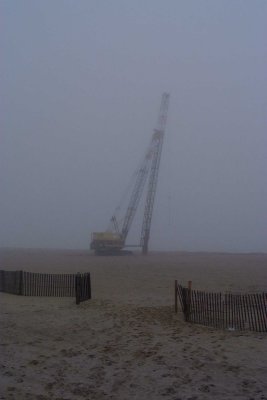 Crane on beach.JPG