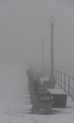benches in fog 113.jpg