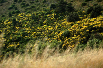 g1/71/947971/3/126087048.eSnzrXgD.jpg