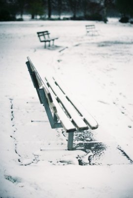 bench blues in winter #2