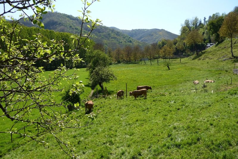 P1020865.JPG