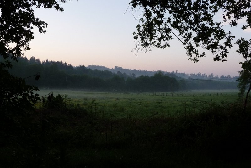 P1030300.JPG
